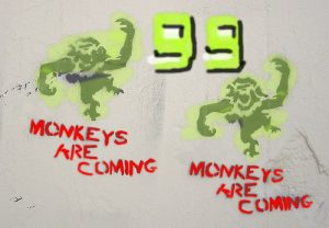 monkey 3